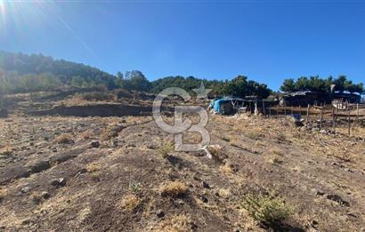 CB NOVO'DAN BALIKESİR HAVRAN'DA 613M2 SATILIK BAHÇE