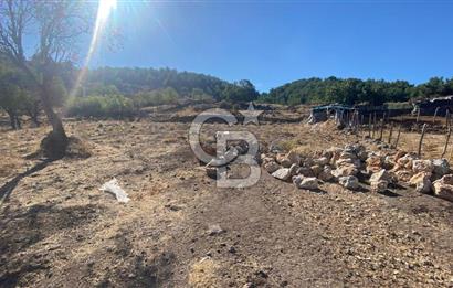 CB NOVO'DAN BALIKESİR HAVRAN'DA 613M2 SATILIK BAHÇE