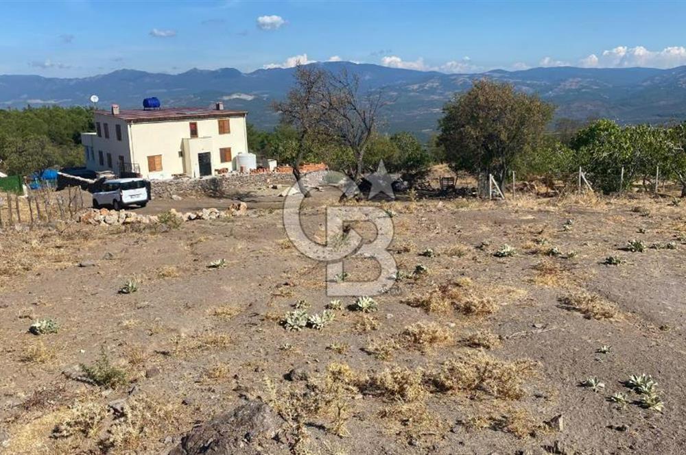 CB NOVO'DAN BALIKESİR HAVRAN'DA 613M2 SATILIK BAHÇE