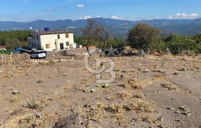 CB NOVO'DAN BALIKESİR HAVRAN'DA 613M2 SATILIK BAHÇE
