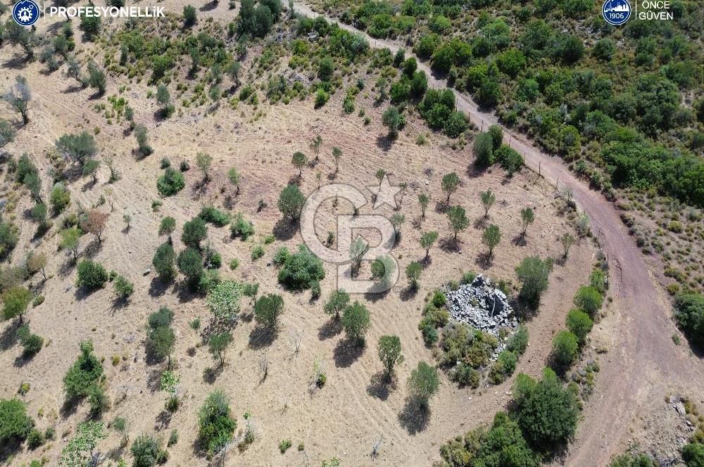 Karaburun Eğlenhoca Mahallesi'nde Deniz ve Gölet Manzaralı Tarla