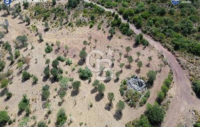 Karaburun Eğlenhoca Mahallesi'nde Deniz ve Gölet Manzaralı Tarla