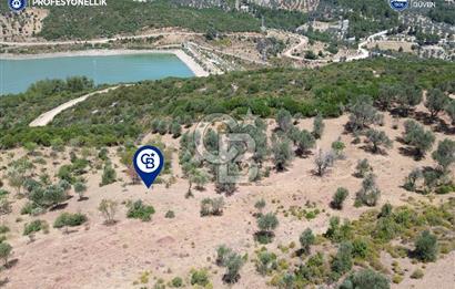 Karaburun Eğlenhoca Mahallesi'nde Deniz ve Gölet Manzaralı Tarla