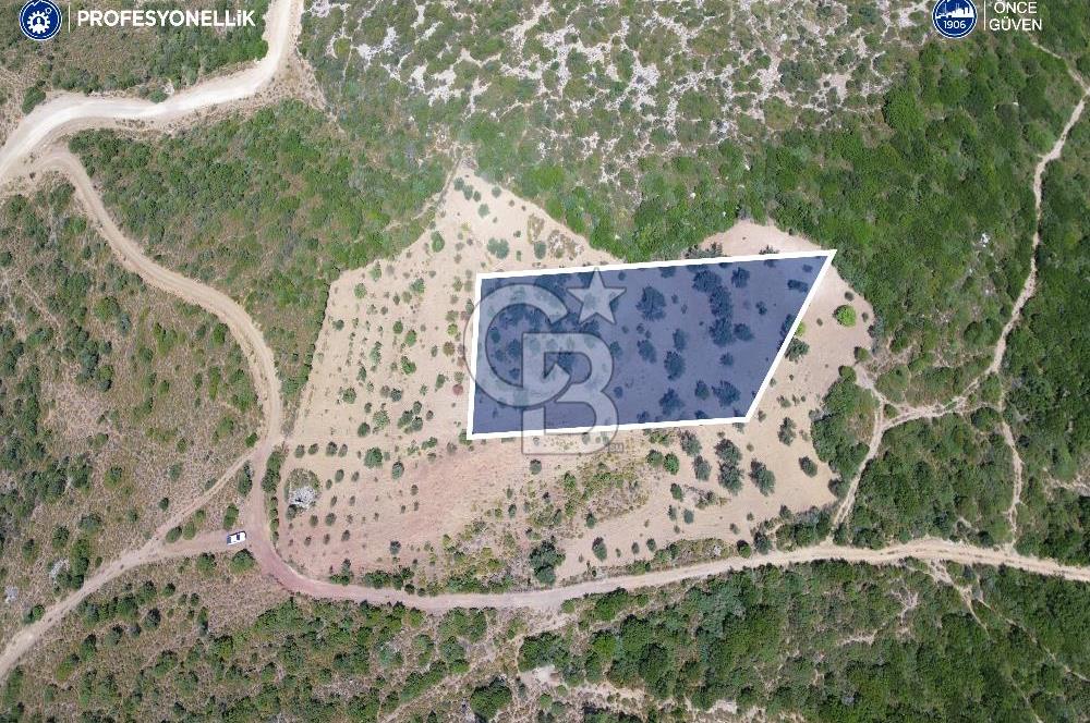 Karaburun Eğlenhoca Mahallesi'nde Deniz ve Gölet Manzaralı Tarla