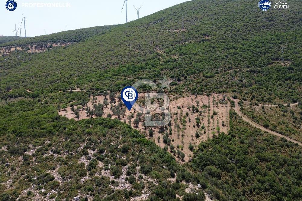 Karaburun Eğlenhoca Mahallesi'nde Deniz ve Gölet Manzaralı Tarla