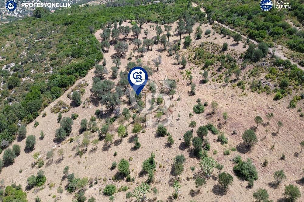 Karaburun Eğlenhoca Mahallesi'nde Deniz ve Gölet Manzaralı Tarla