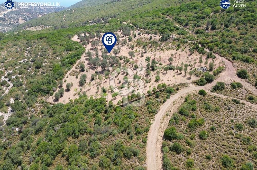 Karaburun Eğlenhoca Mahallesi'nde Deniz ve Gölet Manzaralı Tarla