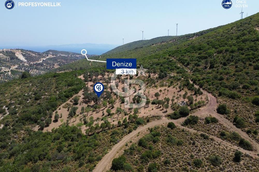 Karaburun Eğlenhoca Mahallesi'nde Deniz ve Gölet Manzaralı Tarla