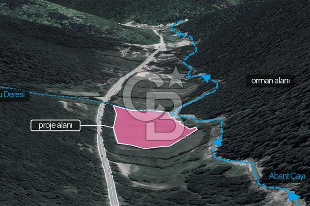 BOLU - ABANT YOLU ÜZERİNDE SATILIK ARSA
