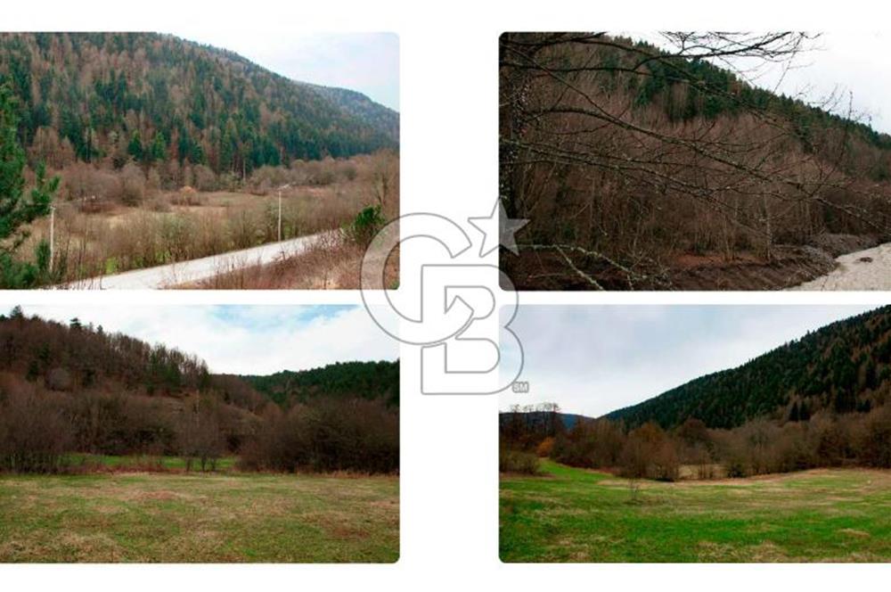 BOLU - ABANT YOLU ÜZERİNDE SATILIK ARSA
