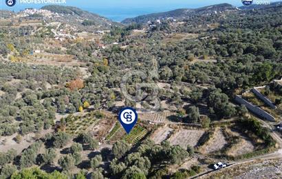 Karaburun Eğlenhoca'da Yatırımlık 1220 m2 Tarla