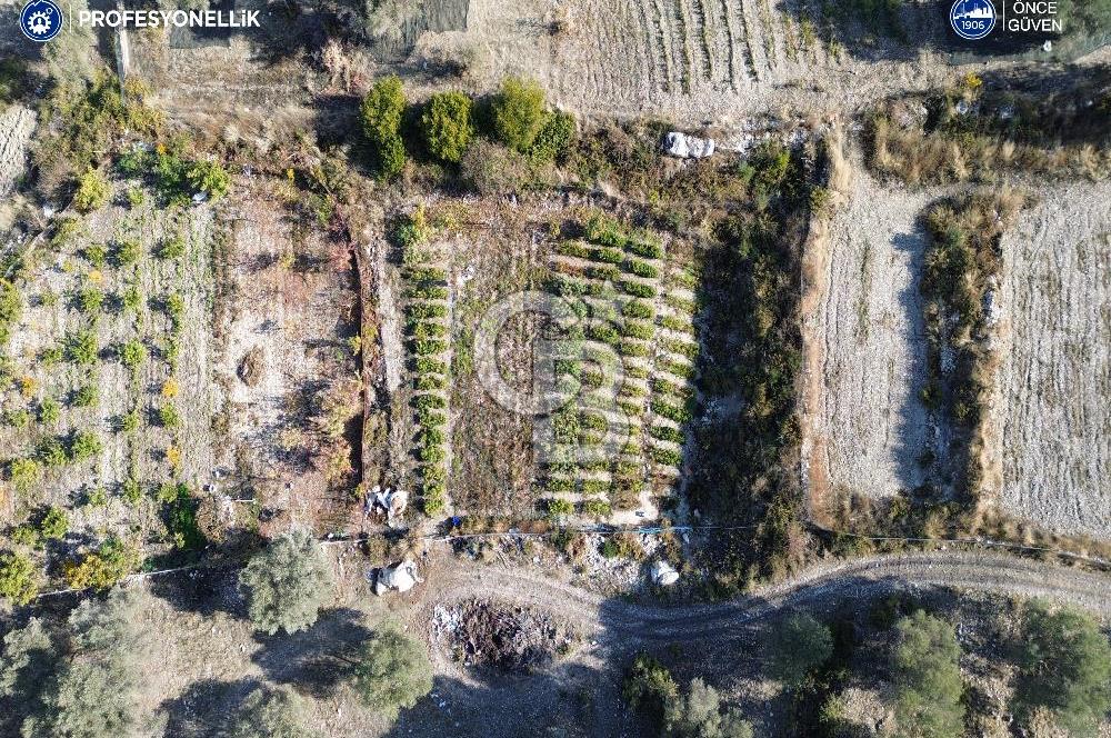 Karaburun Eğlenhoca'da Yatırımlık 1220 m2 Tarla