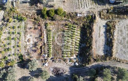 Karaburun Eğlenhoca'da Yatırımlık 1220 m2 Tarla