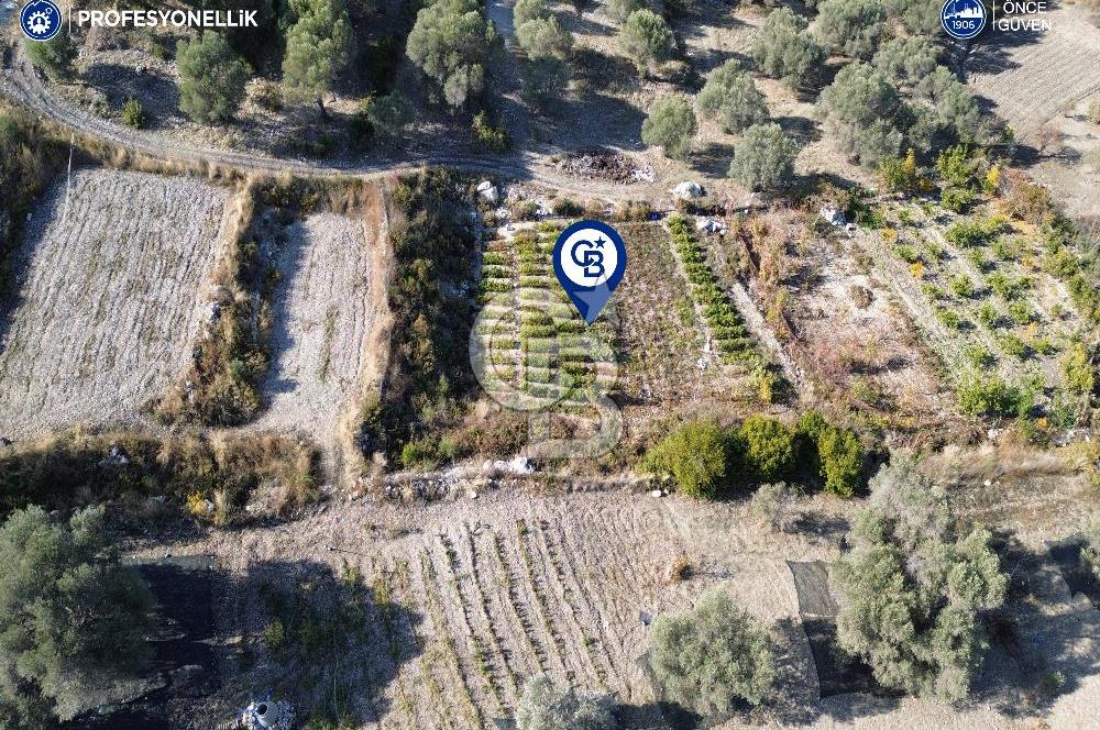 Karaburun Eğlenhoca'da Yatırımlık 1220 m2 Tarla