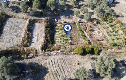 Karaburun Eğlenhoca'da Yatırımlık 1220 m2 Tarla