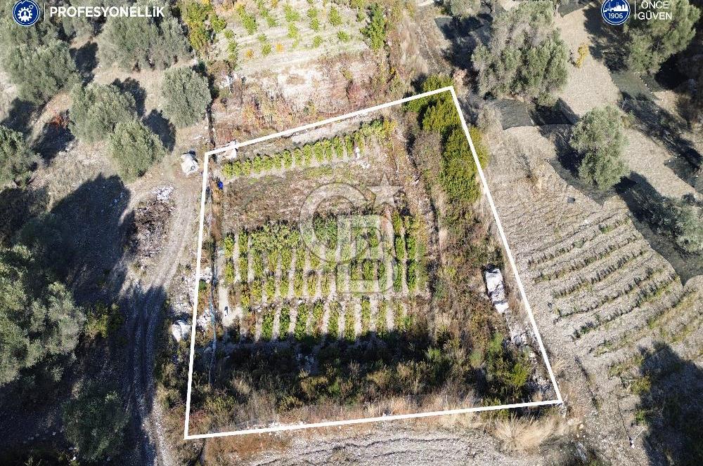 Karaburun Eğlenhoca'da Yatırımlık 1220 m2 Tarla