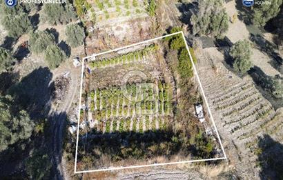 Karaburun Eğlenhoca'da Yatırımlık 1220 m2 Tarla