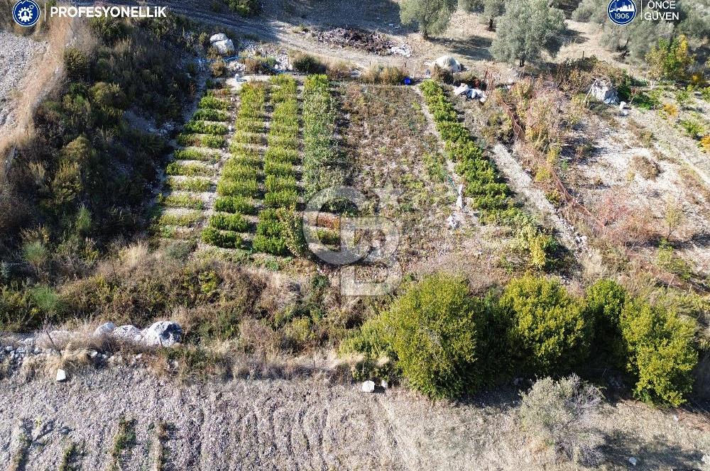 Karaburun Eğlenhoca'da Yatırımlık 1220 m2 Tarla