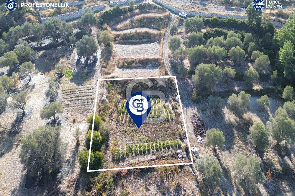 Karaburun Eğlenhoca'da Yatırımlık 1220 m2 Tarla