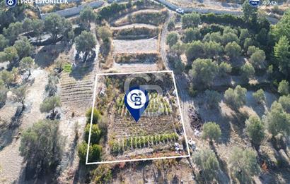 Karaburun Eğlenhoca'da Yatırımlık 1220 m2 Tarla