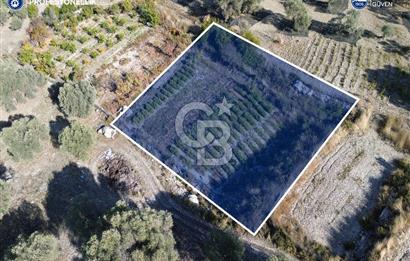 Karaburun Eğlenhoca'da Yatırımlık 1220 m2 Tarla