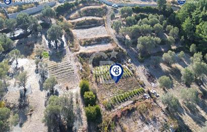 Karaburun Eğlenhoca'da Yatırımlık 1220 m2 Tarla