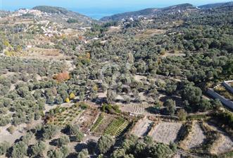 Karaburun Eğlenhoca'da Yatırımlık 1220 m2 Tarla