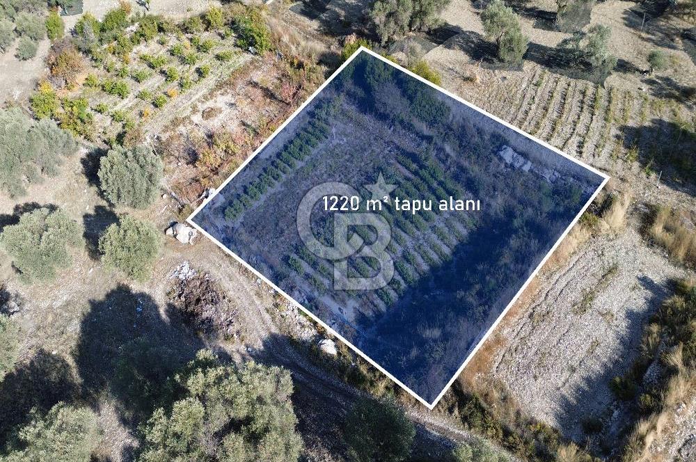 Karaburun Eğlenhoca'da Yatırımlık 1220 m2 Tarla