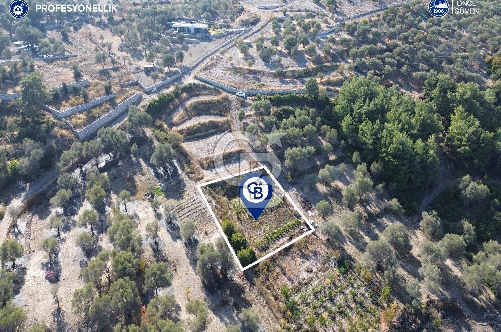 Karaburun Eğlenhoca'da Yatırımlık 1220 m2 Tarla