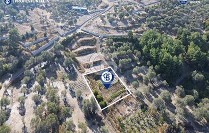 Karaburun Eğlenhoca'da Yatırımlık 1220 m2 Tarla