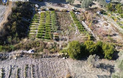 Karaburun Eğlenhoca'da Yatırımlık 1220 m2 Tarla