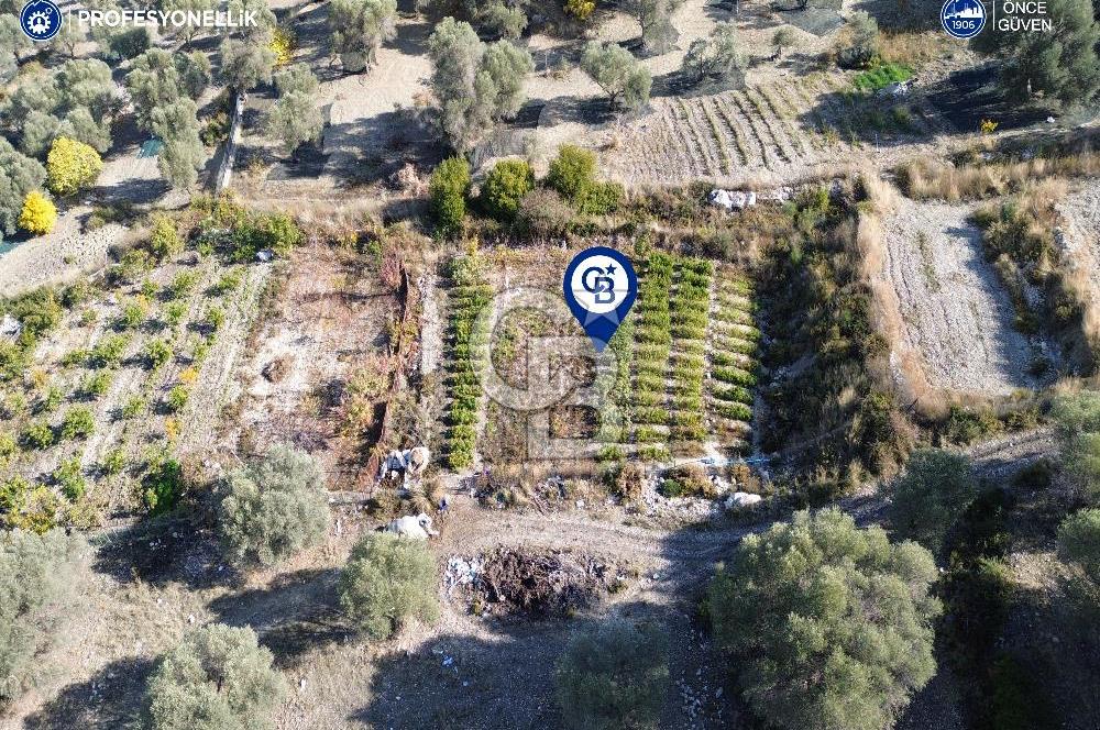Karaburun Eğlenhoca'da Yatırımlık 1220 m2 Tarla