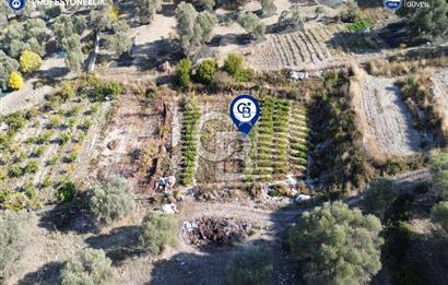 Karaburun Eğlenhoca'da Yatırımlık 1220 m2 Tarla