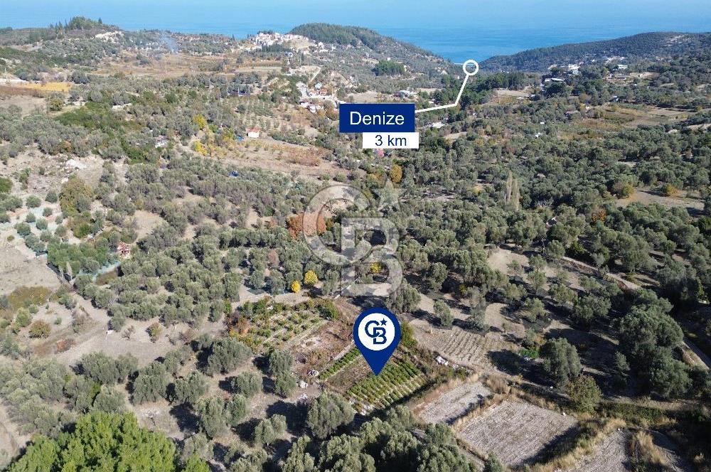 Karaburun Eğlenhoca'da Yatırımlık 1220 m2 Tarla