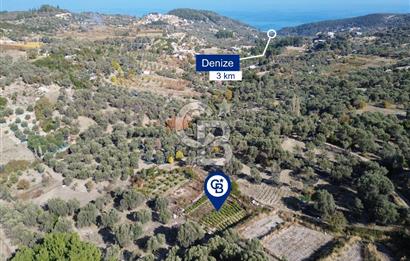 Karaburun Eğlenhoca'da Yatırımlık 1220 m2 Tarla