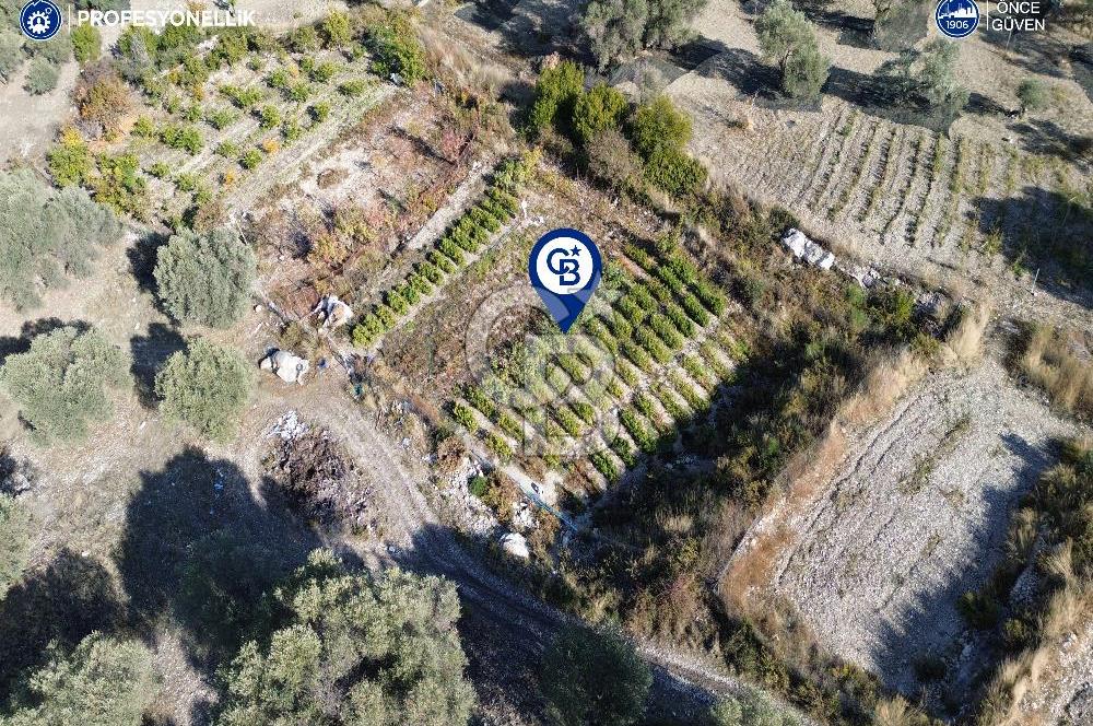 Karaburun Eğlenhoca'da Yatırımlık 1220 m2 Tarla