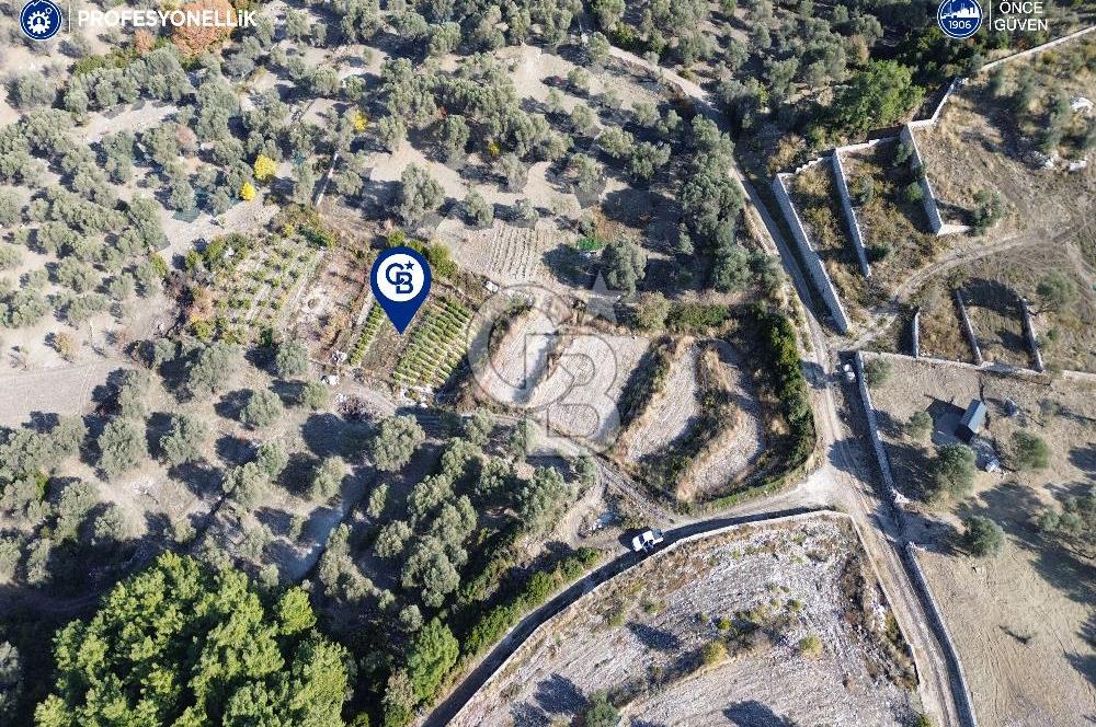 Karaburun Eğlenhoca'da Yatırımlık 1220 m2 Tarla