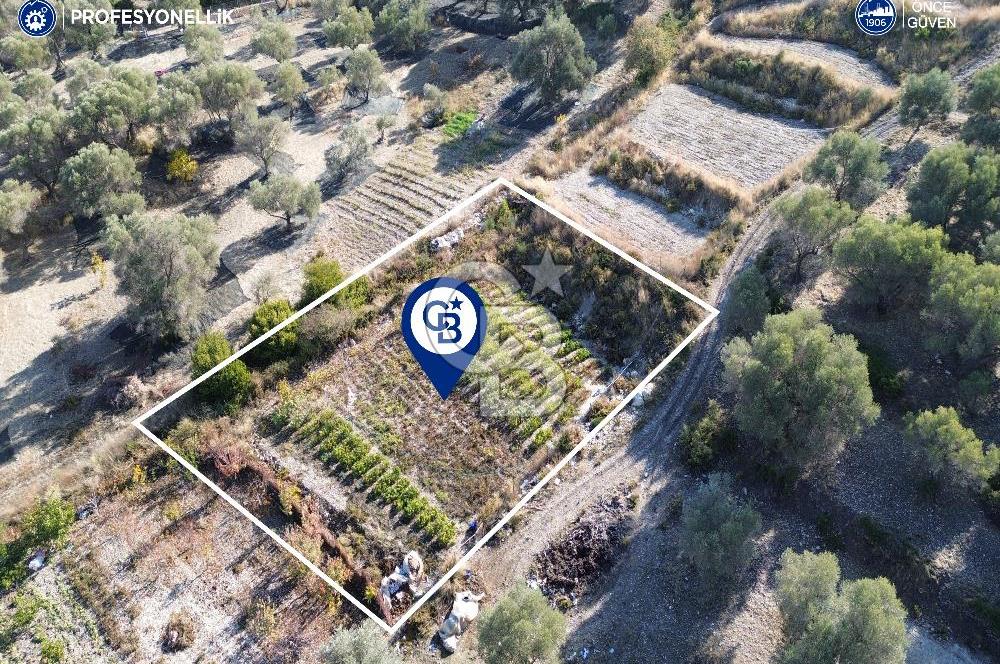 Karaburun Eğlenhoca'da Yatırımlık 1220 m2 Tarla