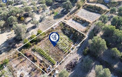 Karaburun Eğlenhoca'da Yatırımlık 1220 m2 Tarla
