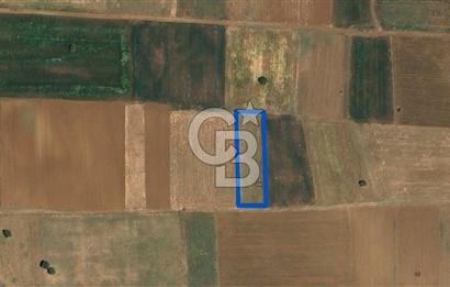 Acıpayam Yassıhüyük Mh. Satılık 1325 M2 Tarla