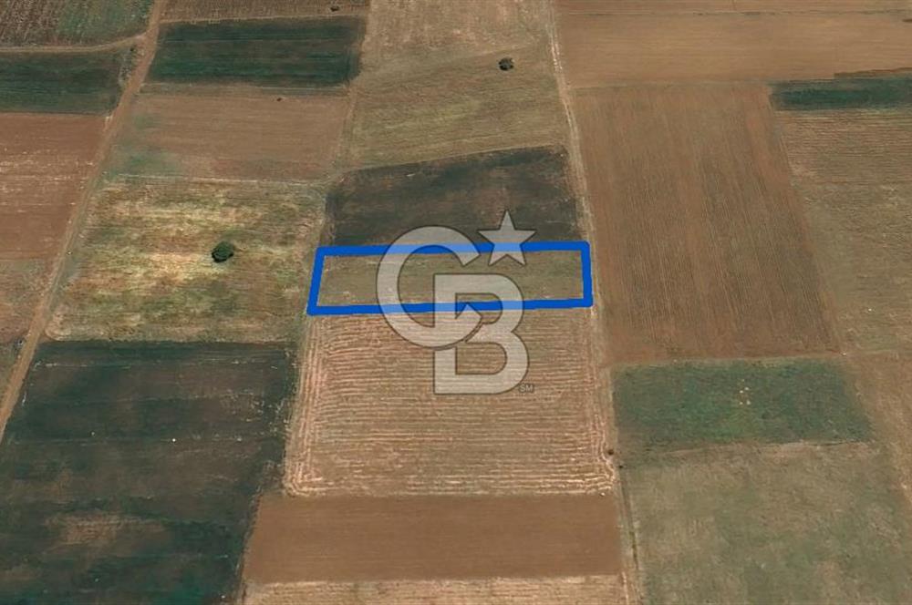 Acıpayam Yassıhüyük Mh. Satılık 1325 M2 Tarla