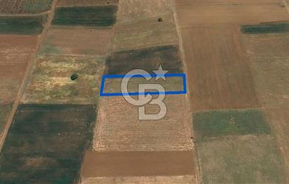 Acıpayam Yassıhüyük Mh. Satılık 1325 M2 Tarla