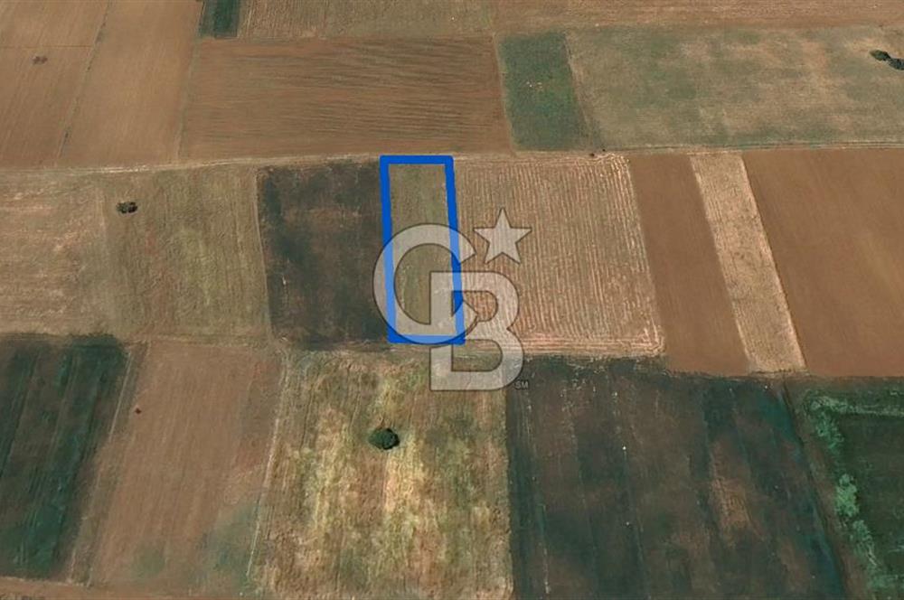 Acıpayam Yassıhüyük Mh. Satılık 1325 M2 Tarla
