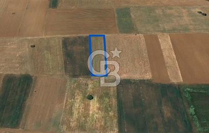 Acıpayam Yassıhüyük Mh. Satılık 1325 M2 Tarla