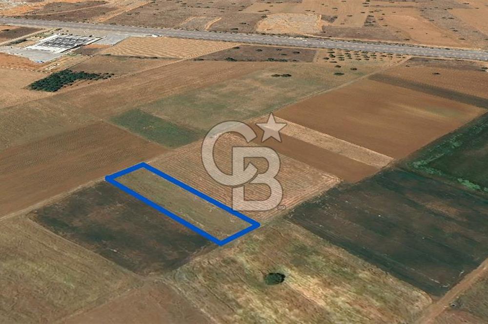 Acıpayam Yassıhüyük Mh. Satılık 1325 M2 Tarla