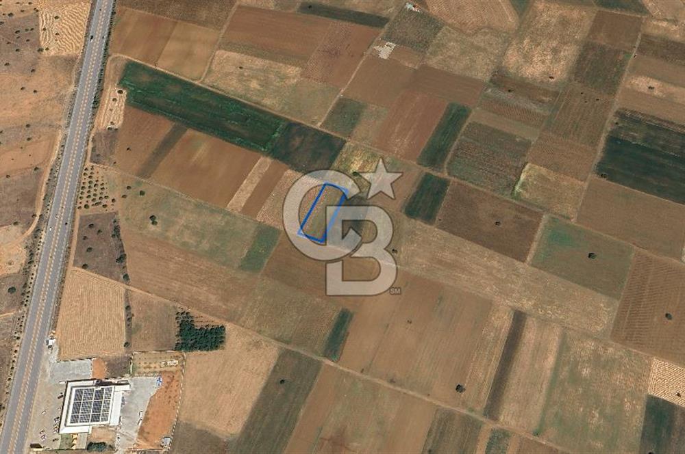 Acıpayam Yassıhüyük Mh. Satılık 1325 M2 Tarla