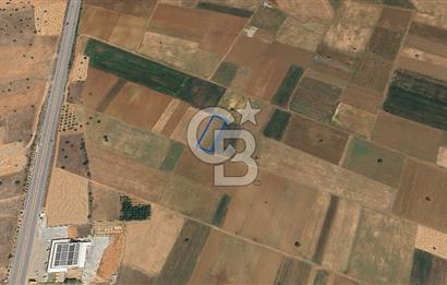 Acıpayam Yassıhüyük Mh. Satılık 1325 M2 Tarla