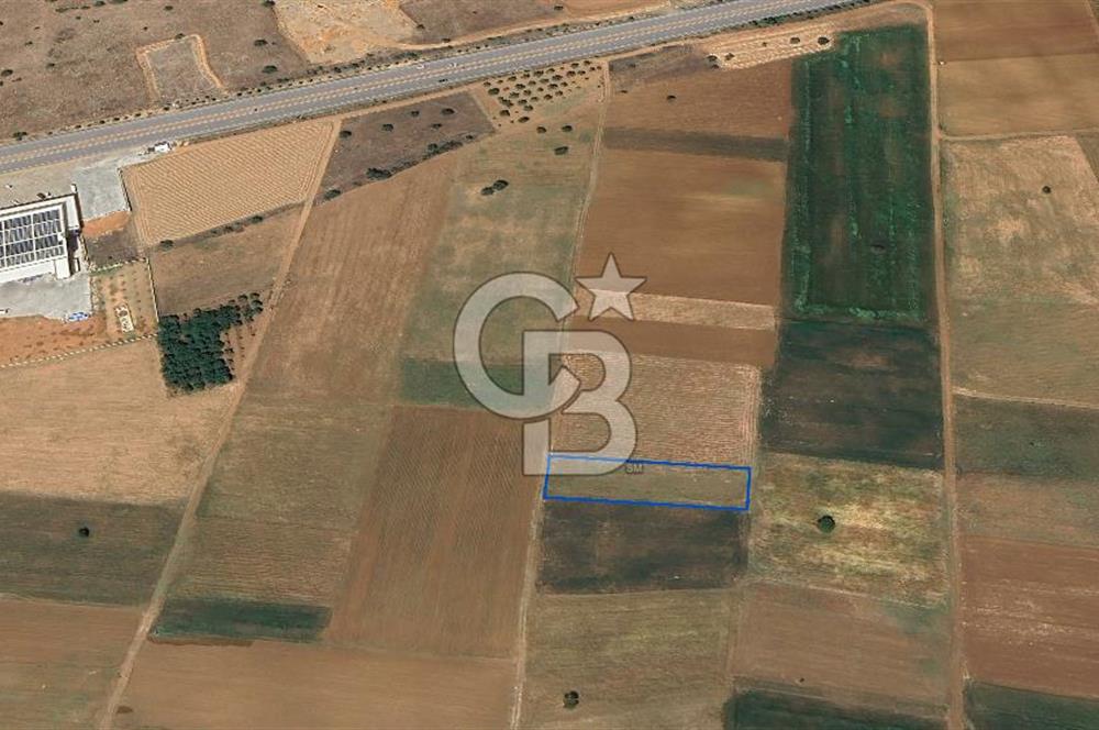 Acıpayam Yassıhüyük Mh. Satılık 1325 M2 Tarla