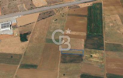 Acıpayam Yassıhüyük Mh. Satılık 1325 M2 Tarla