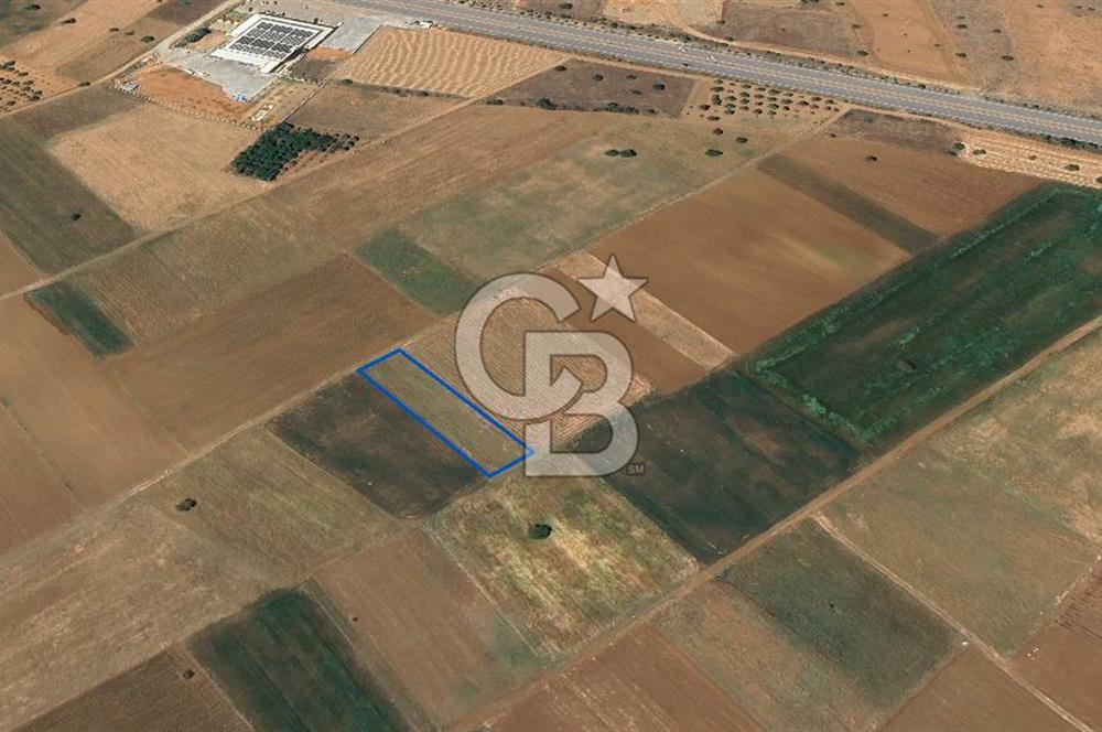 Acıpayam Yassıhüyük Mh. Satılık 1325 M2 Tarla